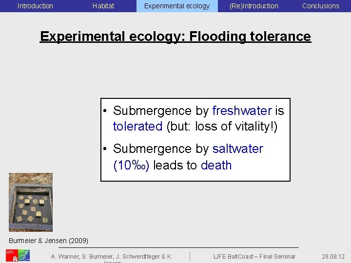 Introduction Habitat Experimental ecology (Re)Introduction Conclusions Experimental ecology: Flooding tolerance • Submergence by freshwater