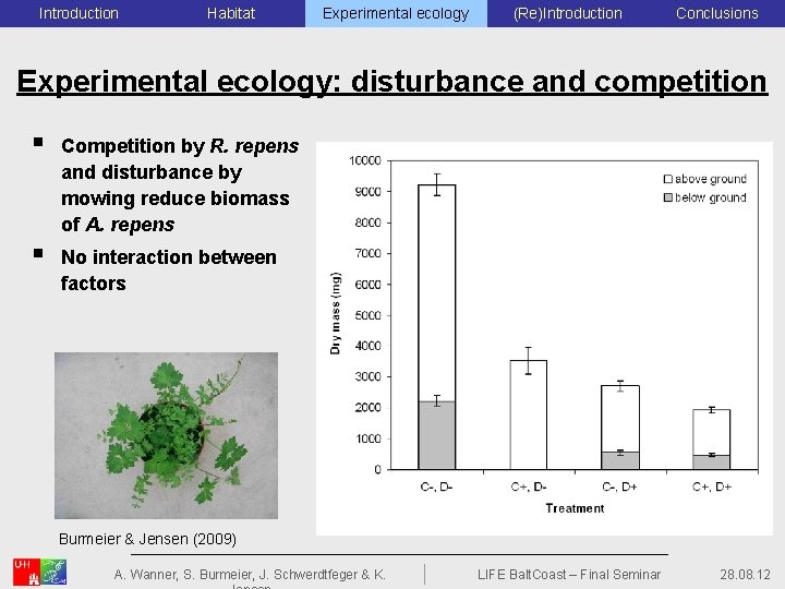 Introduction Habitat Experimental ecology (Re)Introduction Conclusions Experimental ecology: disturbance and competition § Competition by