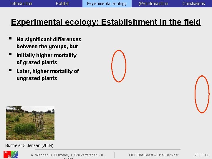 Introduction Habitat Experimental ecology (Re)Introduction Conclusions Experimental ecology: Establishment in the field § No