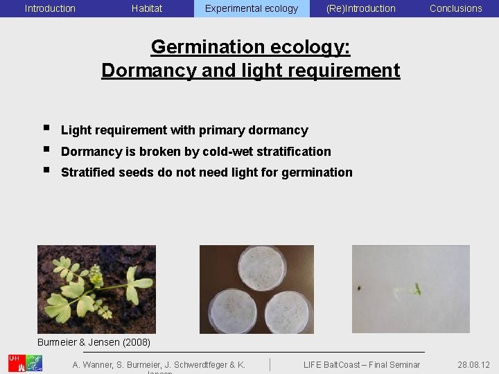 Introduction Habitat Experimental ecology (Re)Introduction Conclusions Germination ecology: Dormancy and light requirement § §