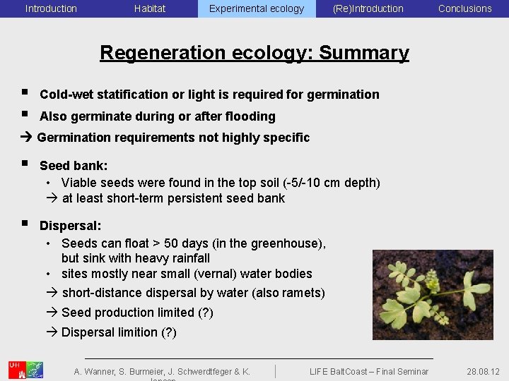 Introduction Habitat Experimental ecology (Re)Introduction Conclusions Regeneration ecology: Summary § § Cold-wet statification or