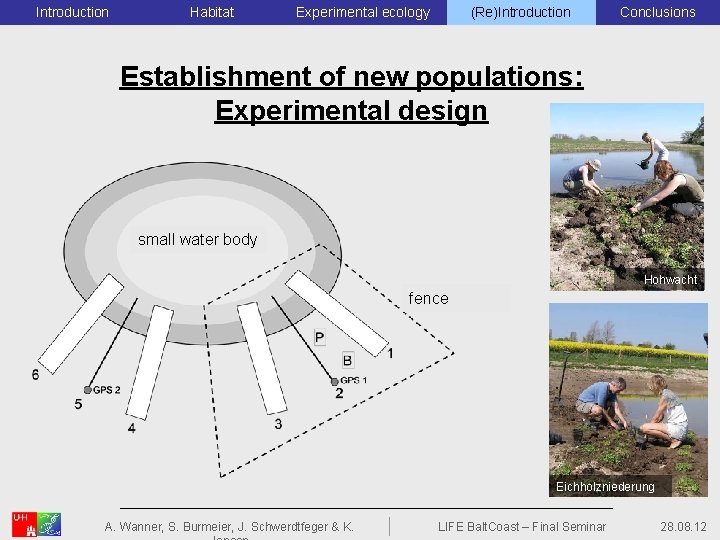 Introduction Habitat Experimental ecology (Re)Introduction Conclusions Establishment of new populations: Experimental design Kleingewässer small