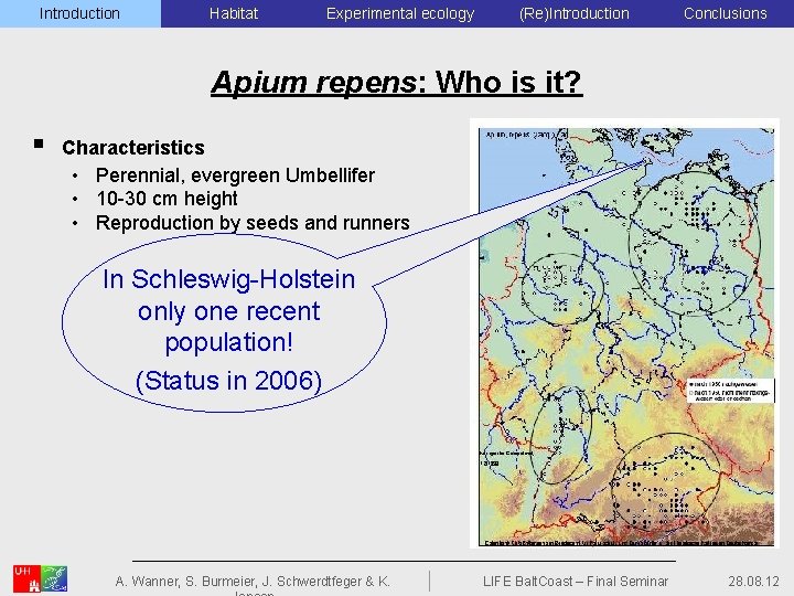 Introduction Einleitung Ökologie Habitat Experimental Standortecology Ansiedlung (Re)Introduction Conclusions Ausblick Apium repens: Who is