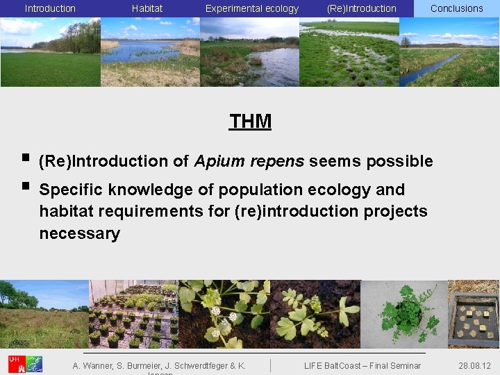 Introduction Habitat Experimental ecology (Re)Introduction Conclusions THM § (Re)Introduction of Apium repens seems possible