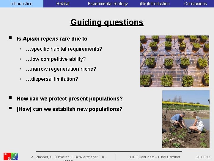 Introduction Habitat Experimental ecology (Re)Introduction Conclusions Guiding questions § Is Apium repens rare due