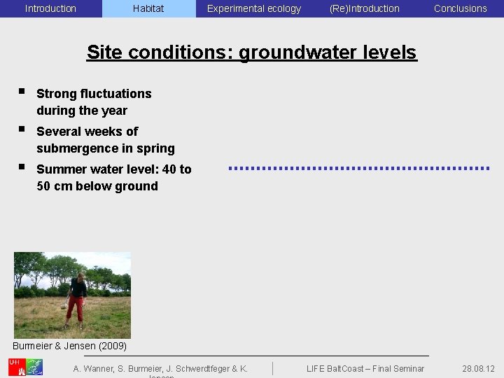 Introduction Habitat Experimental ecology (Re)Introduction Conclusions Site conditions: groundwater levels § Strong fluctuations during