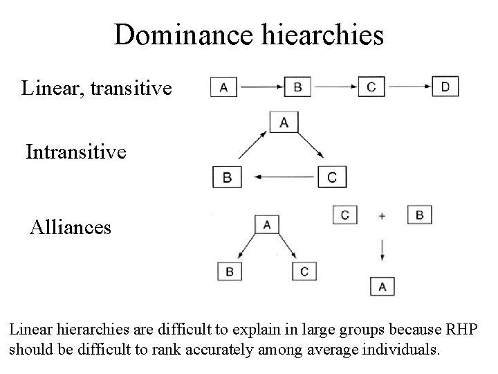 Dominance hiearchies Linear, transitive Intransitive Alliances Linear hierarchies are difficult to explain in large