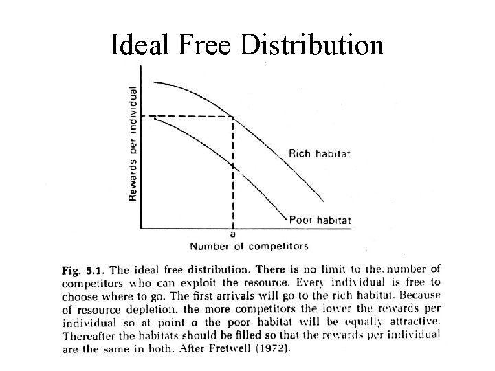 Resource competition Ideal free distribution Dominance Correlates