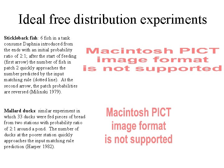 Ideal free distribution experiments Stickleback fish: 6 fish in a tank consume Daphnia introduced