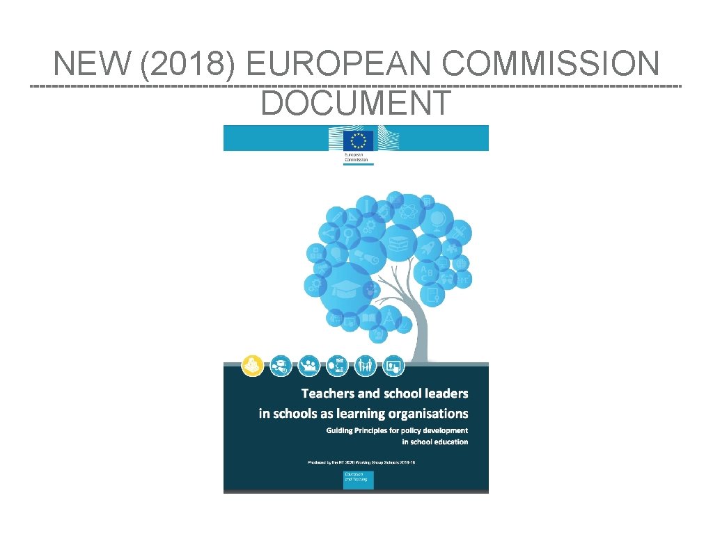 NEW (2018) EUROPEAN COMMISSION DOCUMENT 