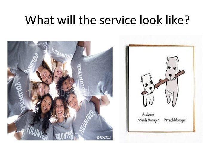 What will the service look like? 