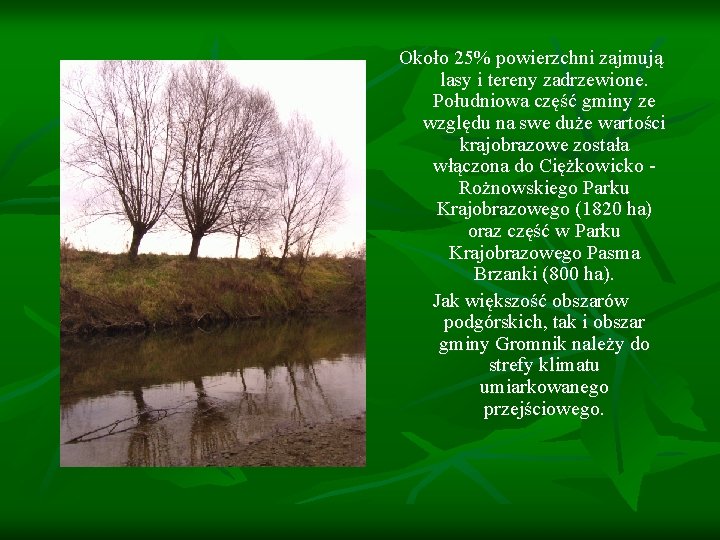 Około 25% powierzchni zajmują lasy i tereny zadrzewione. Południowa część gminy ze względu na