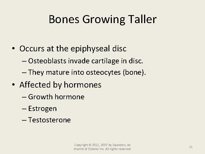 Bones Growing Taller • Occurs at the epiphyseal disc – Osteoblasts invade cartilage in