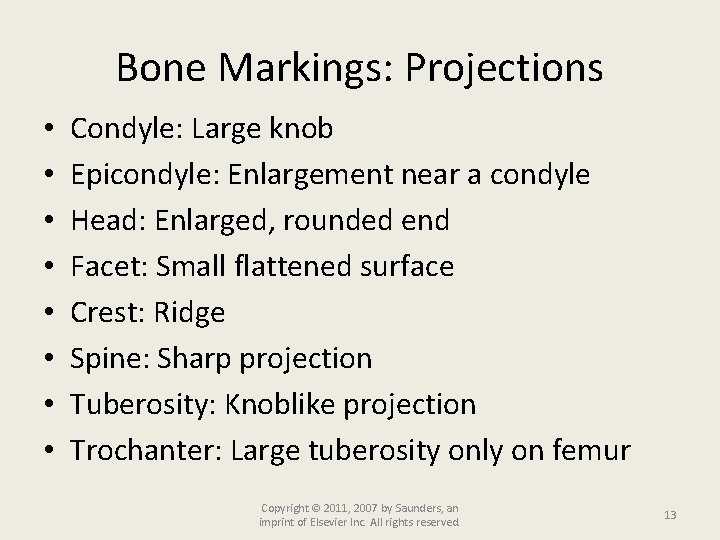 Bone Markings: Projections • • Condyle: Large knob Epicondyle: Enlargement near a condyle Head: