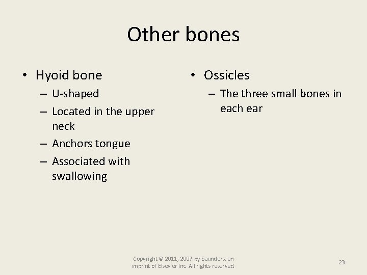 Other bones • Hyoid bone • Ossicles – U-shaped – Located in the upper