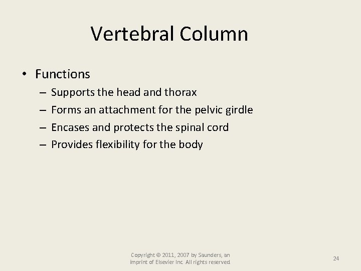 Vertebral Column • Functions – – Supports the head and thorax Forms an attachment