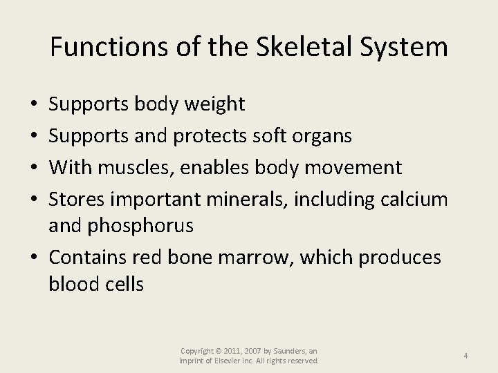 Functions of the Skeletal System Supports body weight Supports and protects soft organs With