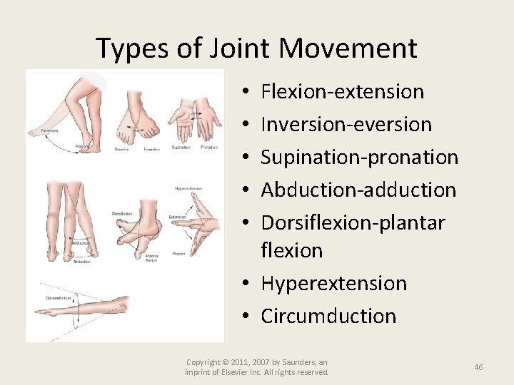 Types of Joint Movement Flexion-extension Inversion-eversion Supination-pronation Abduction-adduction Dorsiflexion-plantar flexion • Hyperextension • Circumduction