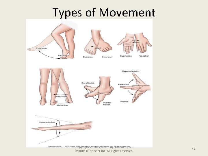 Types of Movement Copyright © 2011, 2007 by Saunders, an imprint of Elsevier Inc.