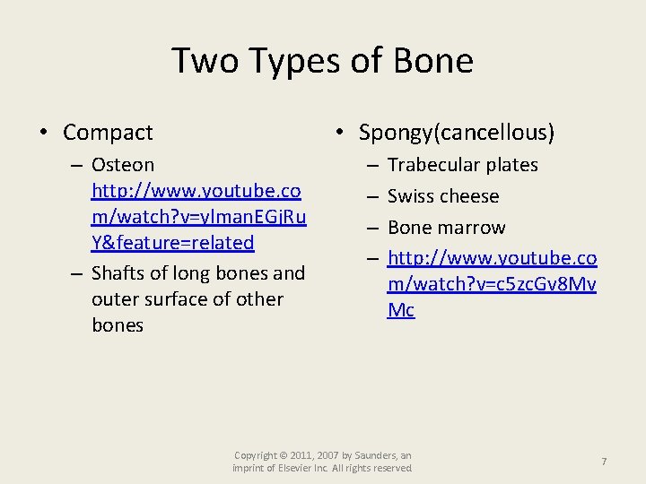 Two Types of Bone • Compact • Spongy(cancellous) – Osteon http: //www. youtube. co