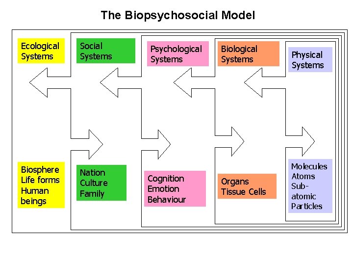 The Biopsychosocial Model Ecological Systems Social Systems Biosphere Life forms Human beings Nation Culture