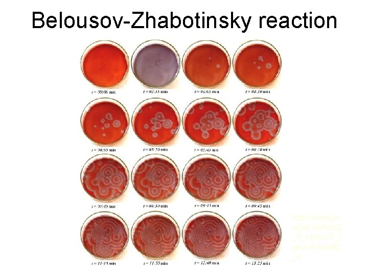 Belousov-Zhabotinsky reaction http: //www. jkr ieger. de/bzr/2 _4_versuch_r aeuml. html#2 _4 
