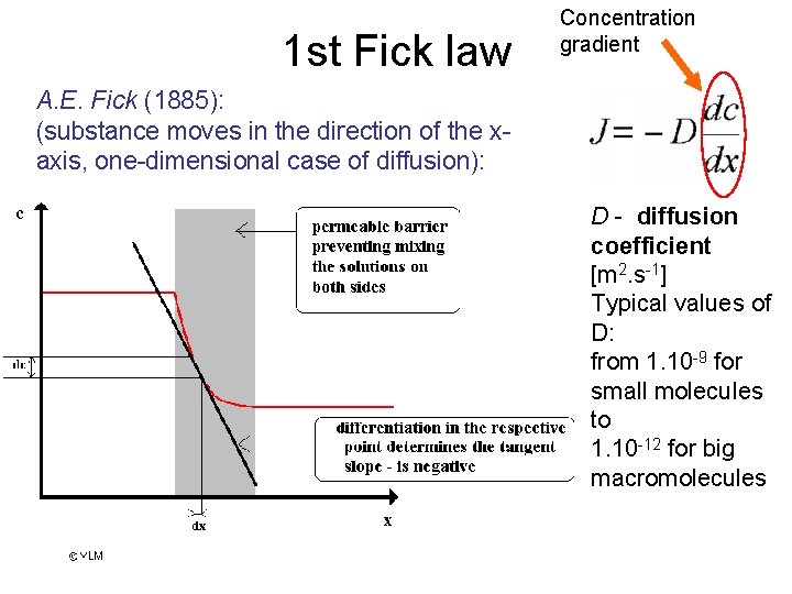 1 st Fick law Concentration gradient A. E. Fick (1885): (substance moves in the