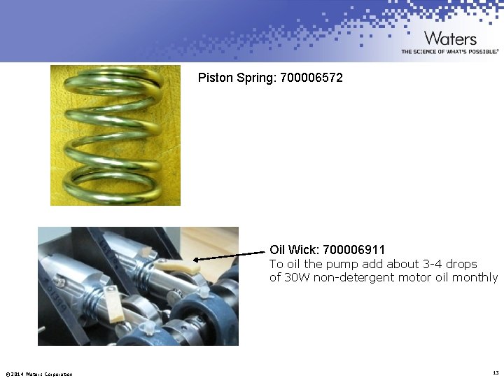 Piston Spring: 700006572 Oil Wick: 700006911 To oil the pump add about 3 -4