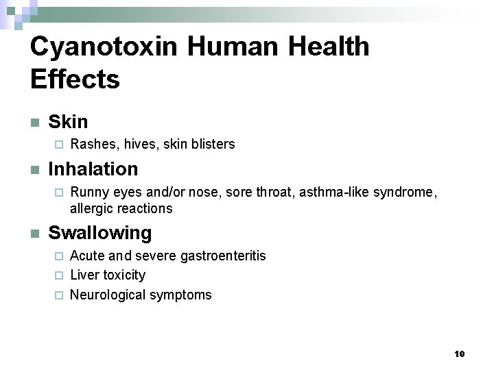 Cyanotoxin Human Health Effects n Skin ¨ n Inhalation ¨ n Rashes, hives, skin