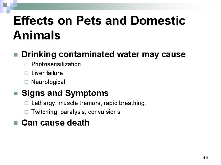 Effects on Pets and Domestic Animals n Drinking contaminated water may cause Photosensitization ¨