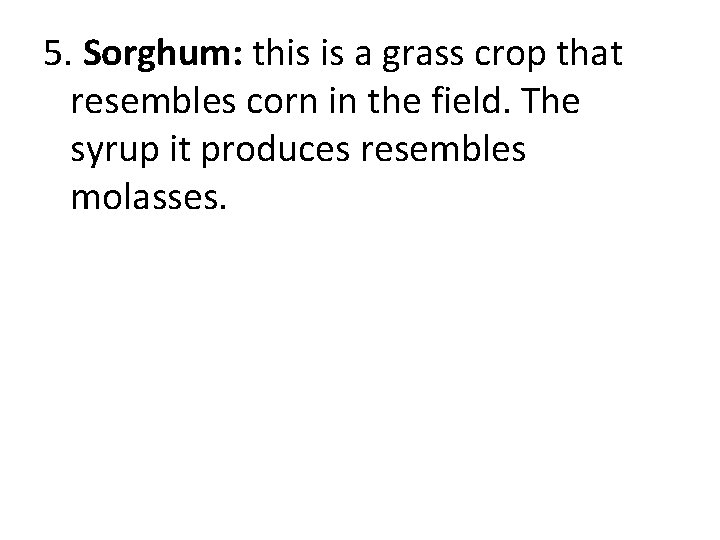 5. Sorghum: this is a grass crop that resembles corn in the field. The