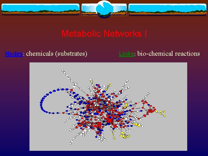 Metabolic Networks I Nodes: chemicals (substrates) Links: bio-chemical reactions 