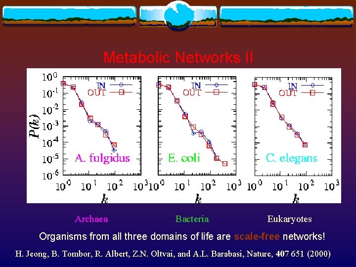 Metabolic Networks II Archaea Bacteria Eukaryotes Organisms from all three domains of life are