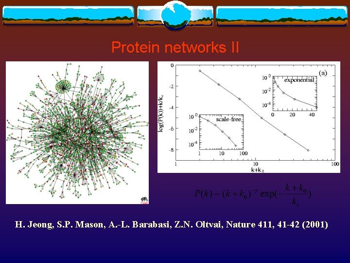 Protein networks II H. Jeong, S. P. Mason, A. -L. Barabasi, Z. N. Oltvai,