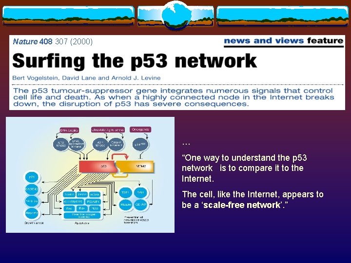 Nature 408 307 (2000) … “One way to understand the p 53 network is