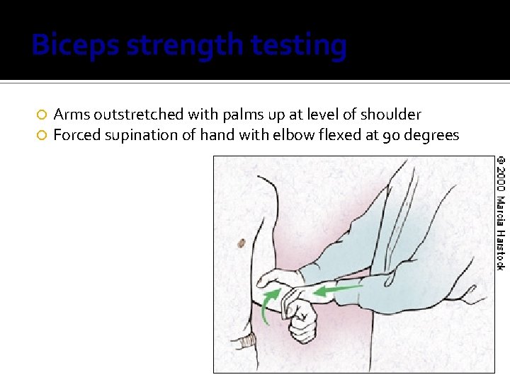 Biceps strength testing Arms outstretched with palms up at level of shoulder Forced supination