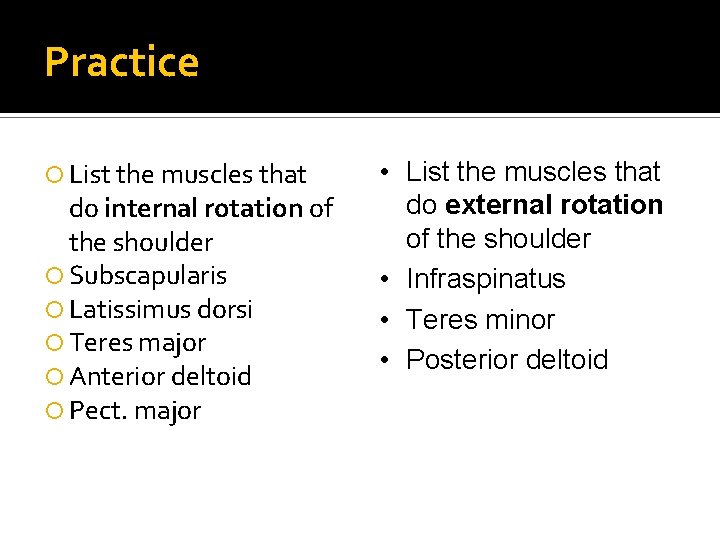 Practice List the muscles that do internal rotation of the shoulder Subscapularis Latissimus dorsi
