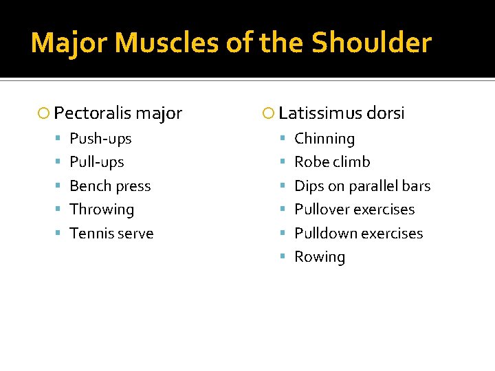 Major Muscles of the Shoulder Pectoralis major Latissimus dorsi Push-ups Chinning Pull-ups Robe climb