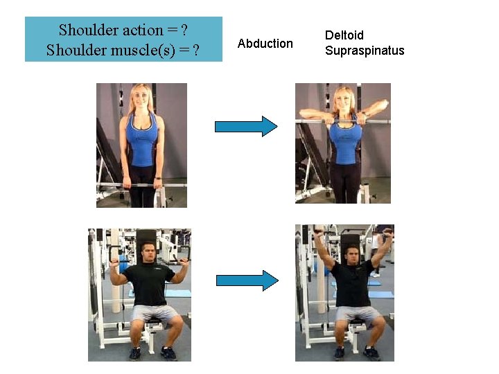 Shoulder action = ? Shoulder muscle(s) = ? Abduction Deltoid Supraspinatus 