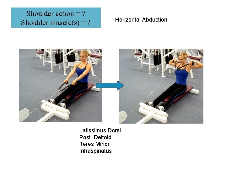 Shoulder action = ? Shoulder muscle(s) = ? Horizontal Abduction Latissimus Dorsi Post. Deltoid