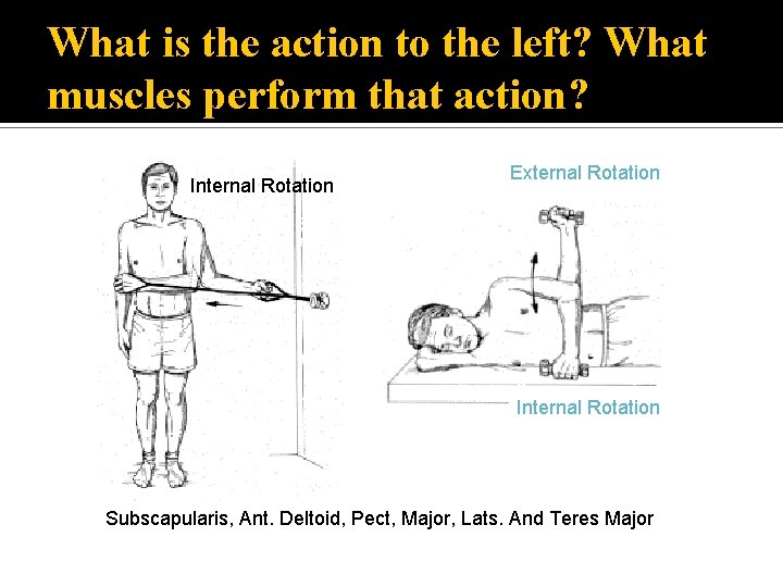 What is the action to the left? What muscles perform that action? Internal Rotation