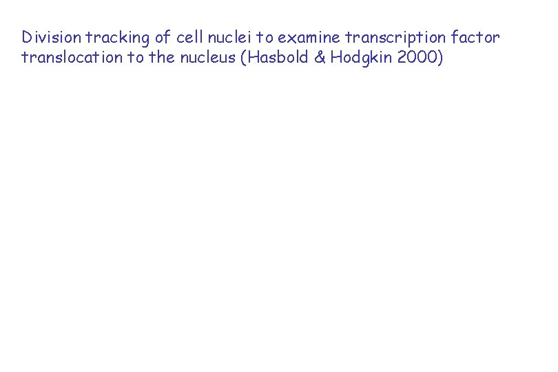 Division tracking of cell nuclei to examine transcription factor translocation to the nucleus (Hasbold
