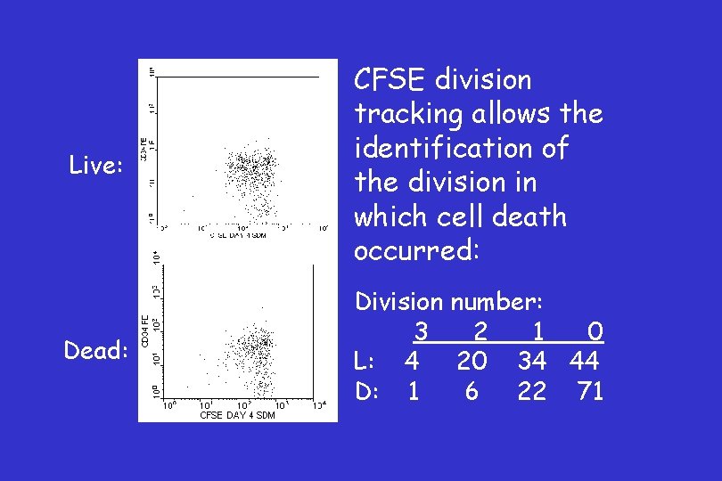 Live: CFSE division tracking allows the identification of the division in which cell death