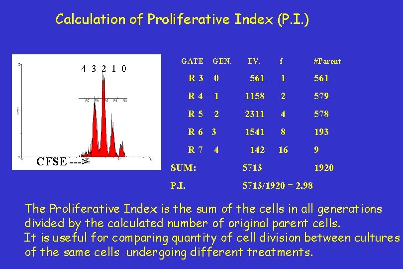 Calculation of Proliferative Index (P. I. ) 4 3 2 1 0 CFSE --->