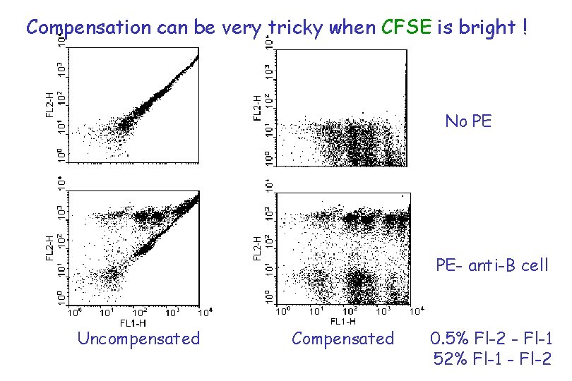 Compensation can be very tricky when CFSE is bright ! No PE PE- anti-B