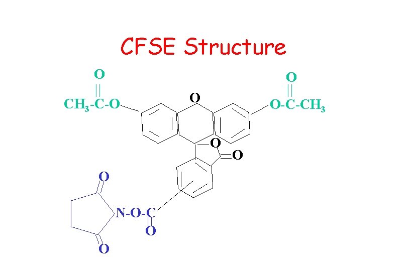 CFSE Structure O O CH 3 -C-O O O-C-CH 3 O O N-O-C O