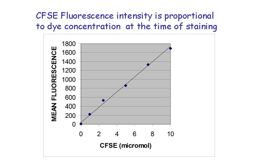 CFSE Fluorescence intensity is proportional to dye concentration at the time of staining 