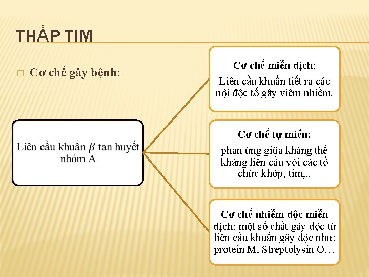 THẤP TIM � Cơ chế gây bệnh: Cơ chế miễn dịch: Liên cầu khuẩn