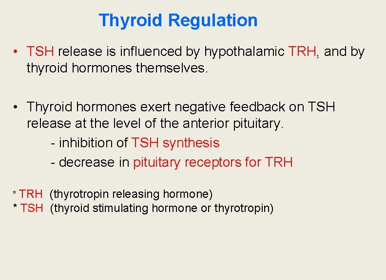 Thyroid Regulation • TSH release is influenced by hypothalamic TRH, and by thyroid hormones