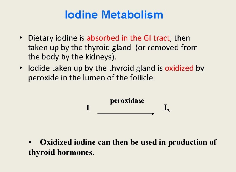 Iodine Metabolism • Dietary iodine is absorbed in the GI tract, then taken up